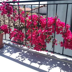 Casa Magnolia Boutique Hotel Kusadasi